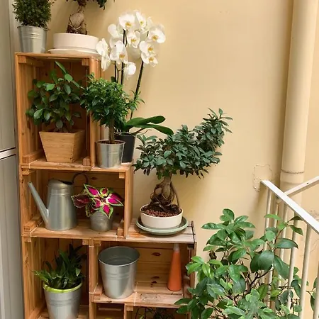 Raroom Boutique Bed & Breakfast 4*